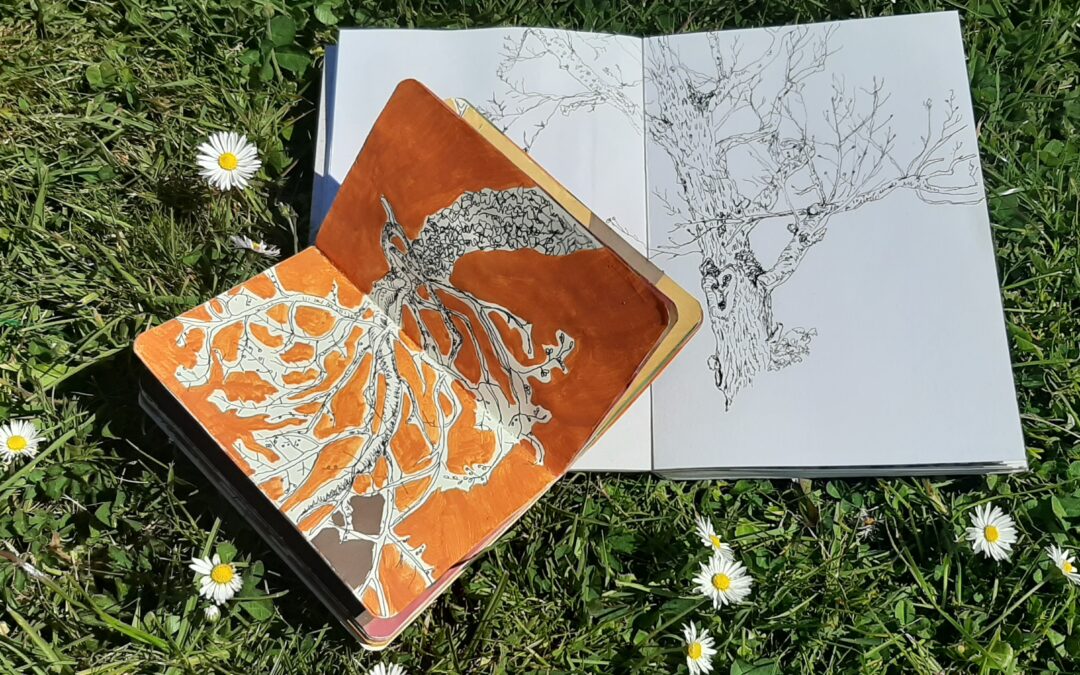 Creating your own nature journal for Biodiversity Week