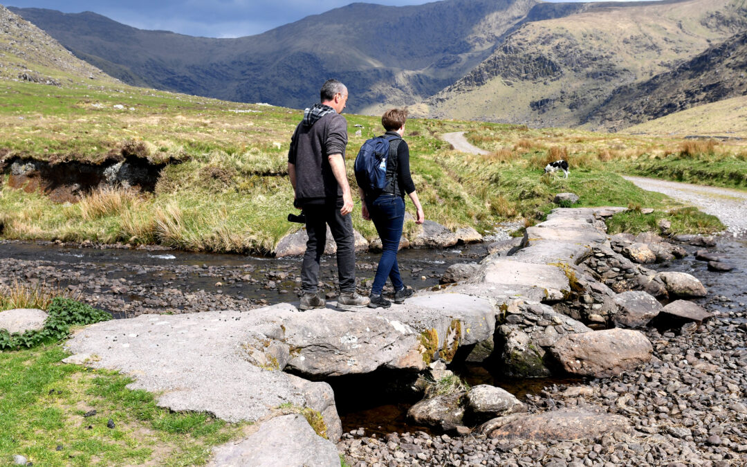 Voices from the Field, Film Screening and Conversation, 2pm Sat 23rd Sept Earth Rising at IMMA 2023