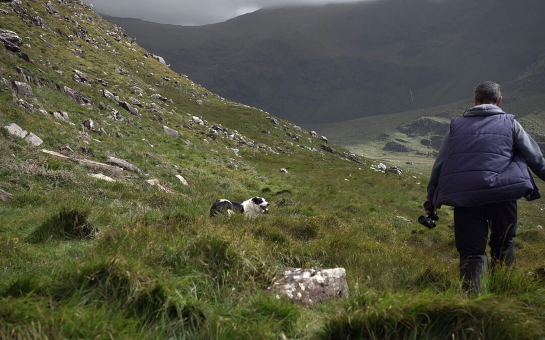 Voices from the Field / Guthanna ón nGort: Screening at Ionad an Bhlascaoid Mhór 18th January 2023