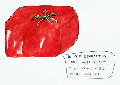 The Square Tomato